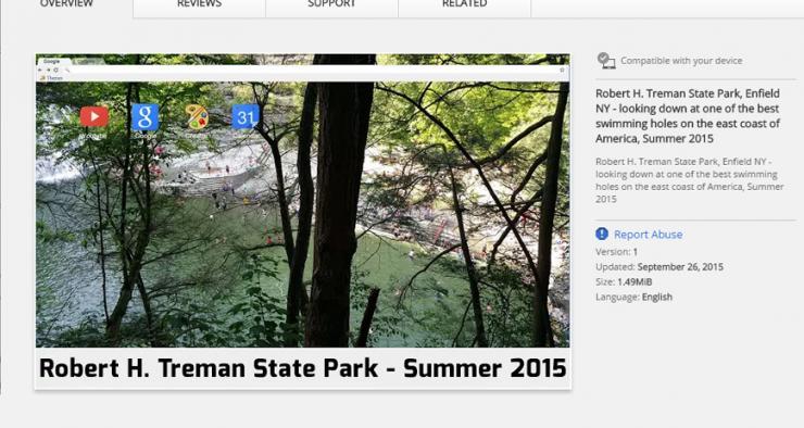 Robert H. Treman State Park
